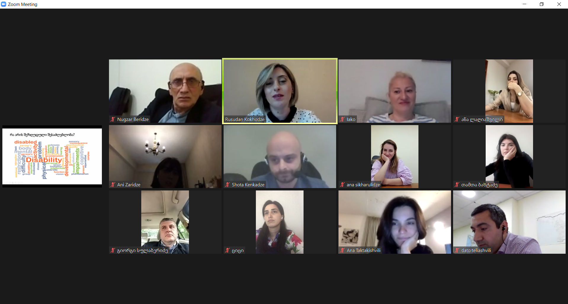 სემეკის თანამშრომლებისთვის შშმ პირთა უფლებებზე ტრენინგი მიმდინარეობს